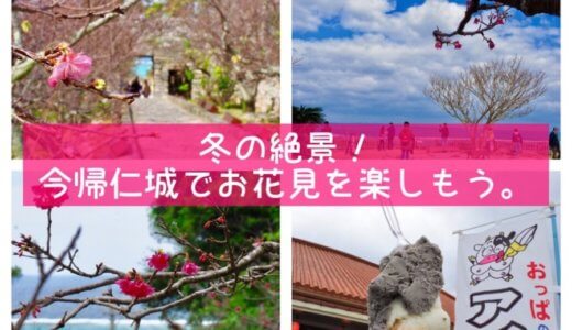 桜×海×世界遺産=絶景！今帰仁城で早いお花見を楽しもう(･∀･)