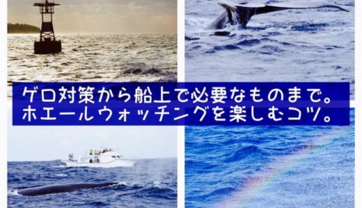 今がシーズン！船酔い・ゲロ対策から船上で欲しいものまで。ホエールウォッチングで重要な事をまとめてみたよ(･∀･)