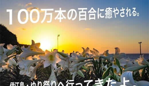 100万本のユリに癒やされる。伊江島ゆり祭りに行ってきたよ(・∀・)