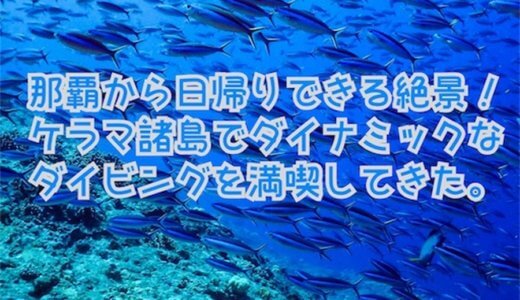 那覇から日帰りできる絶景！ケラマ諸島でダイナミックなダイビングを満喫してきたよ。