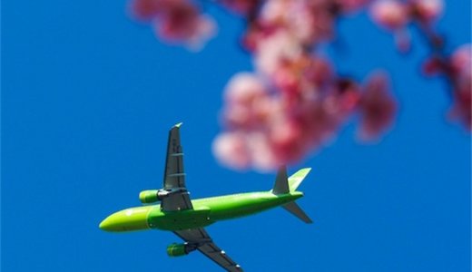 飛行機と桜が同時に見れる！成田・さくらの山公園でお花見してきたよ。